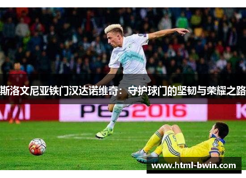 斯洛文尼亚铁门汉达诺维奇:守护球门的坚韧与荣耀之路