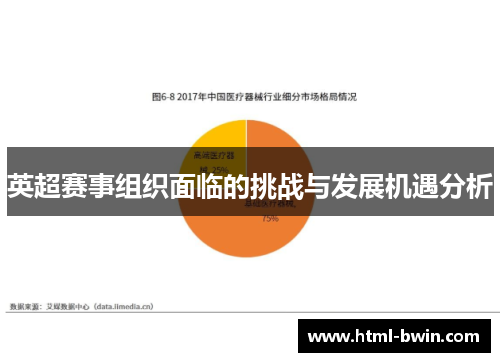 英超赛事组织面临的挑战与发展机遇分析