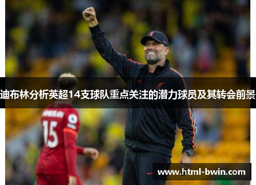 迪布林分析英超14支球队重点关注的潜力球员及其转会前景
