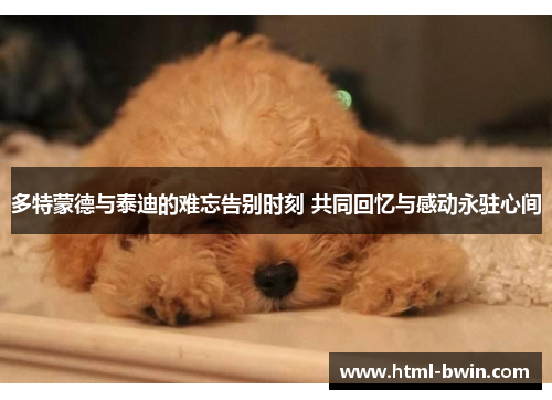 多特蒙德与泰迪的难忘告别时刻 共同回忆与感动永驻心间