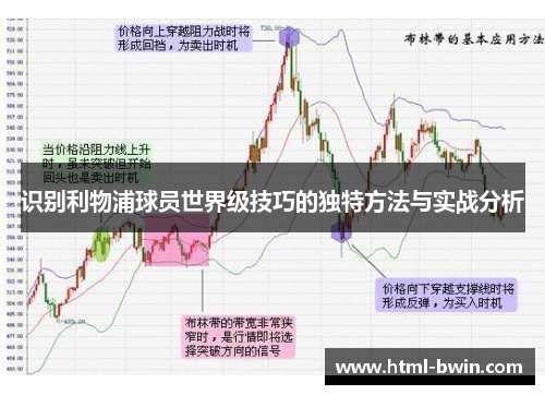 识别利物浦球员世界级技巧的独特方法与实战分析