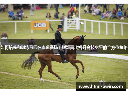 如何培养和训练马匹在奥运赛场上脱颖而出提升竞技水平的全方位策略
