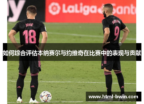 如何综合评估本纳赛尔与约维奇在比赛中的表现与贡献