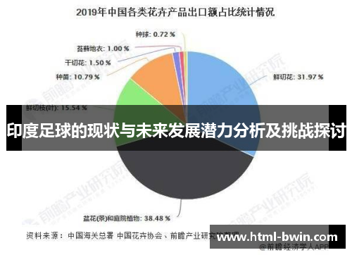 印度足球的现状与未来发展潜力分析及挑战探讨